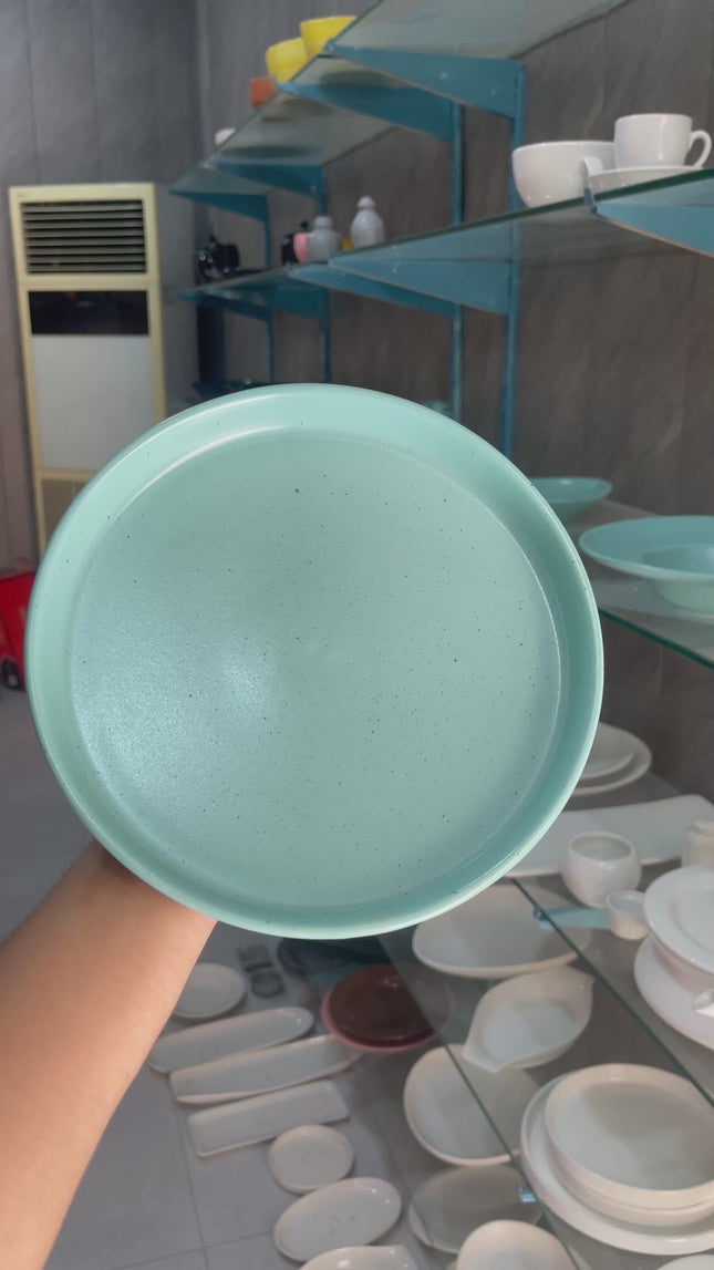 8 inch Classic Plate ( Firozi Matte with Black Specks )