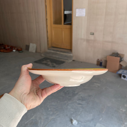 Leftover 9 inch Deep wide Plate ( Yellow Colorline )