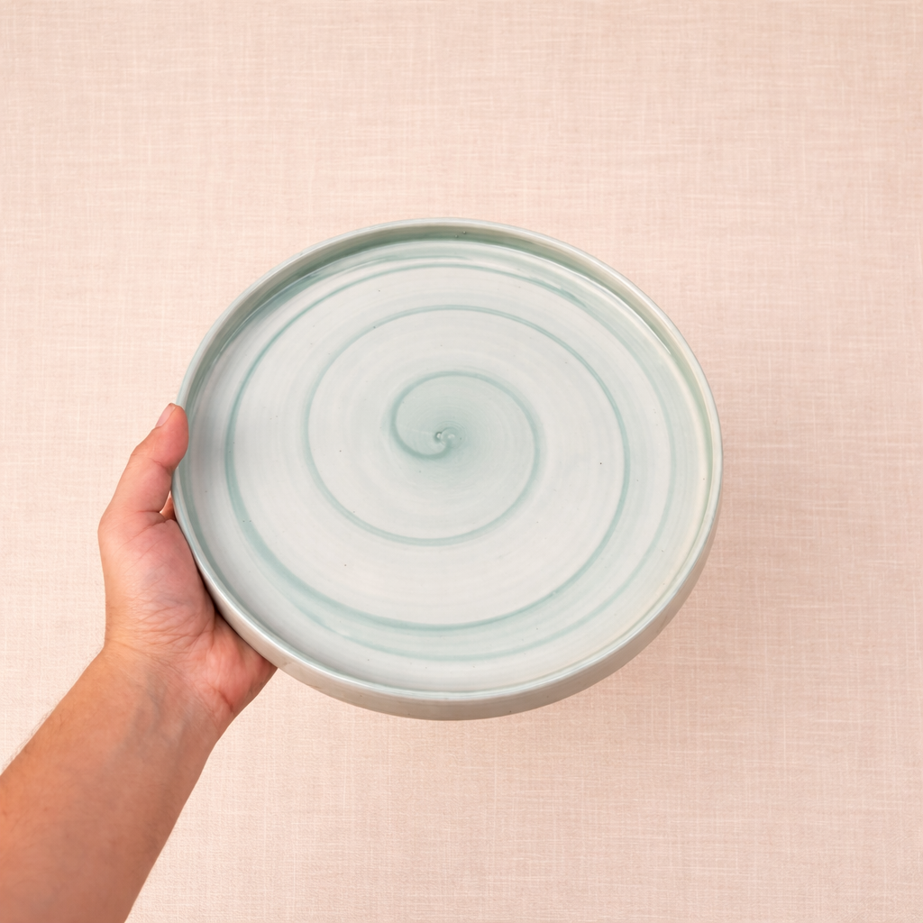 leftover 10 inch classic plate ( Breeze with teal rim )