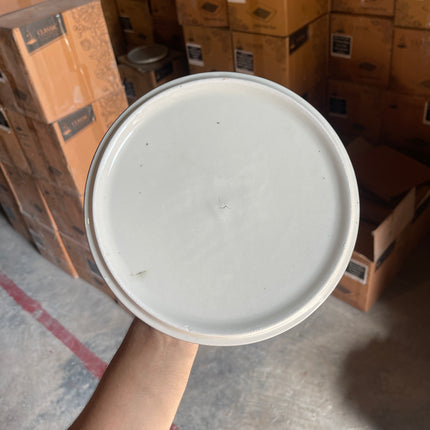 Leftover 8 inch Classic Plate ( Dark Green Colorline )