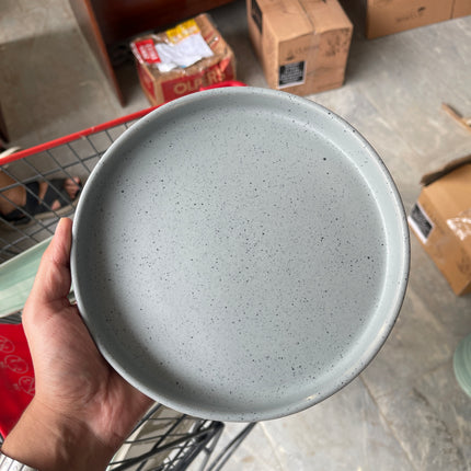 Leftover 8 inch Classic Plate ( Grey Matte with  Black Specks )