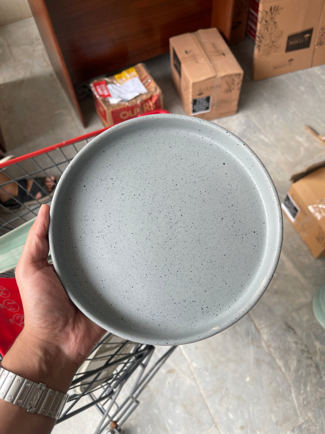 Leftover 8 inch Classic Plate ( Grey Matte with  Black Specks )