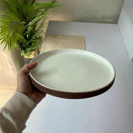 Leftover 10 inch Classic Plate ( Rustic Brown Matte )