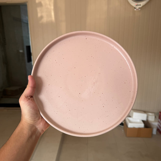 Leftover 10 inch Classic Plate ( Old Rose Matte )