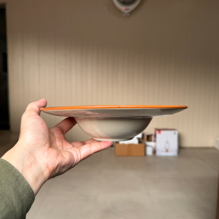 Leftover 9.5 inch Pasta Plate ( Dark Green Colorline )