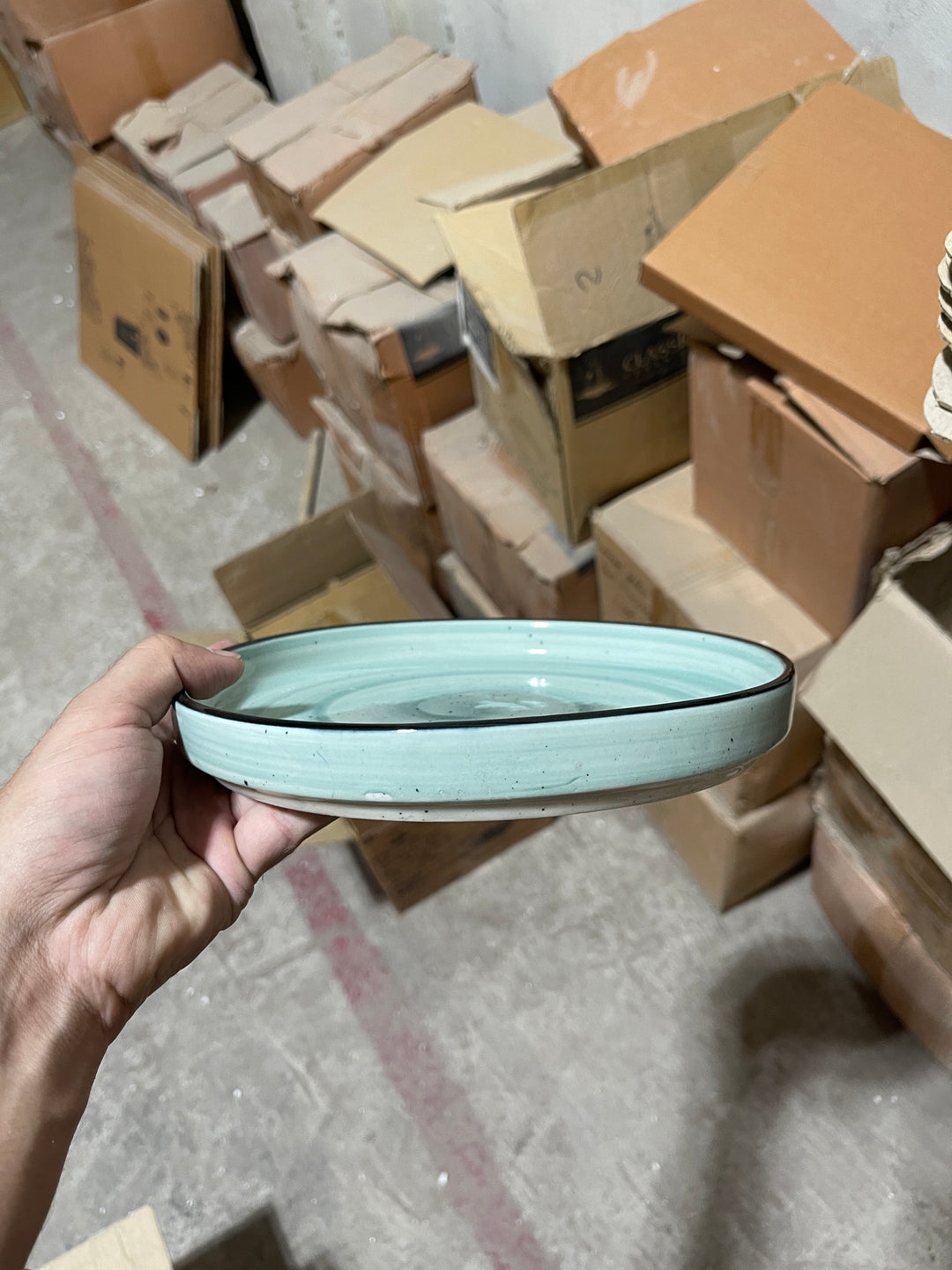 Leftover 8 inch Classic Plate ( Breeze with black rim )