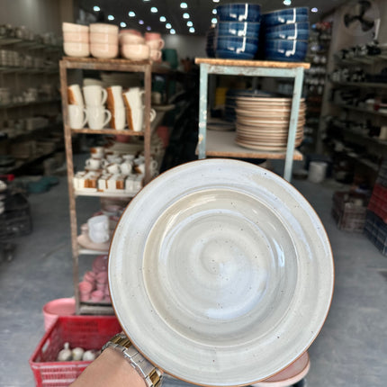 Leftover 9 inch Deep Gravy plate ( Grey Colorline Brown line with Brown specks )