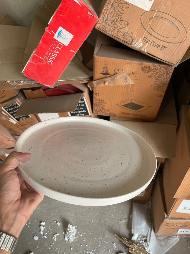 Leftover 12 inch Classic Plate ( White Matte with Black Specks )