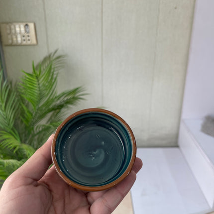 Leftover RK Sauce Ramekin ( Peacock Green Colorline )