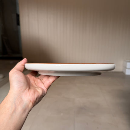 Leftover 10 inch Lite Classic Plate ( Grey Colorline )