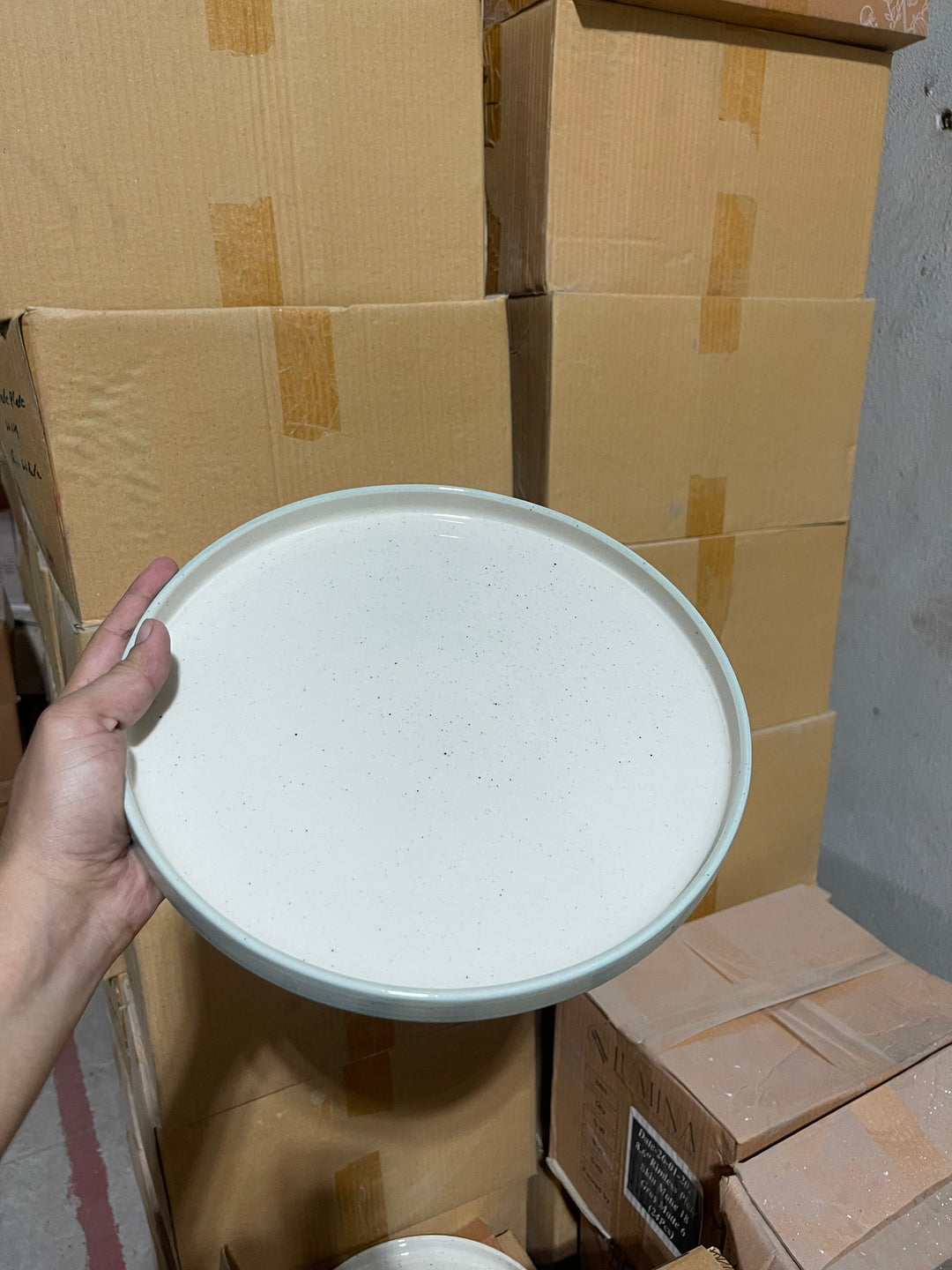 Leftover 10 inch Classic Plate ( Outer Breeze Inner Shiny Off White )