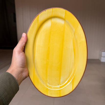 leftover 11 inch Rice Dish with Rim ( Yellow Colorline )
