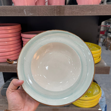 Leftover 9 inch Deep wide Plate ( Teal Colorline )