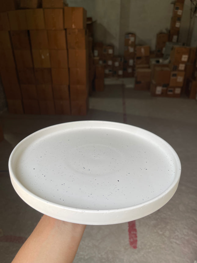 Leftover 10 inch Classic Plate ( White Matte with Black Specks )