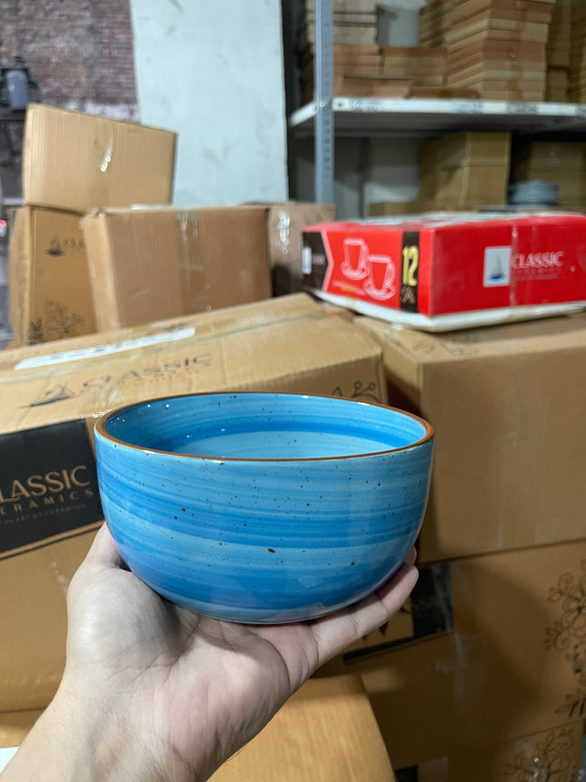 Leftover 6 inch Noodle Bowl ( Blue Colorline )