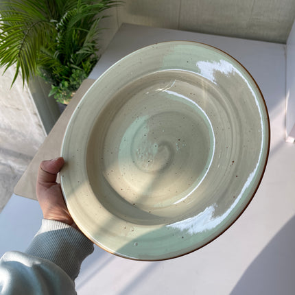 Leftover 10 inch Deep plate ( Grey Colorline )