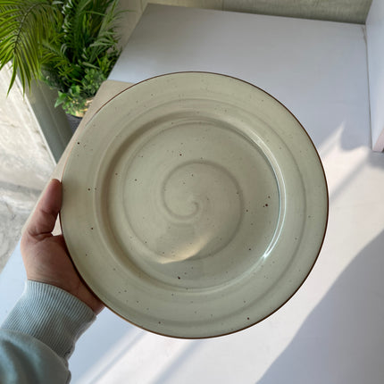 Leftover 10 inch Flat Plate ( Grey Colorline )