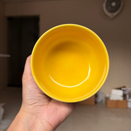 Leftover 4.5 inch Single Serving Bowl ( Sunbeam )