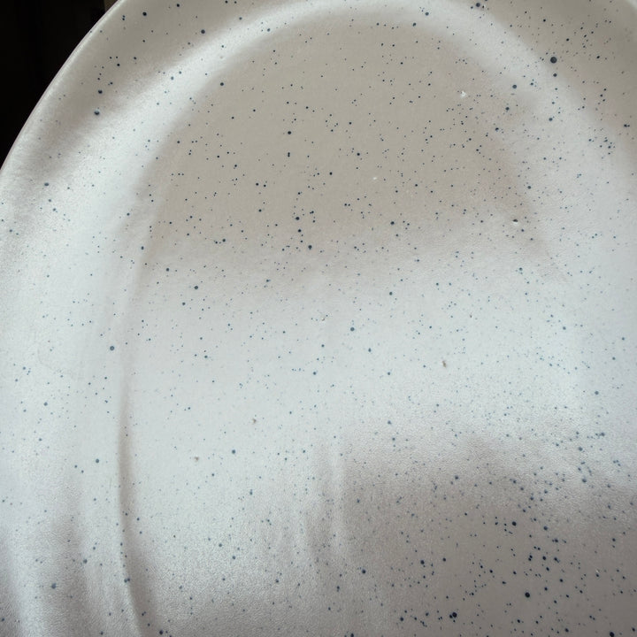 Leftover 13 inch Rimless Rice Dish ( Old Rose Matte with Black Specks )