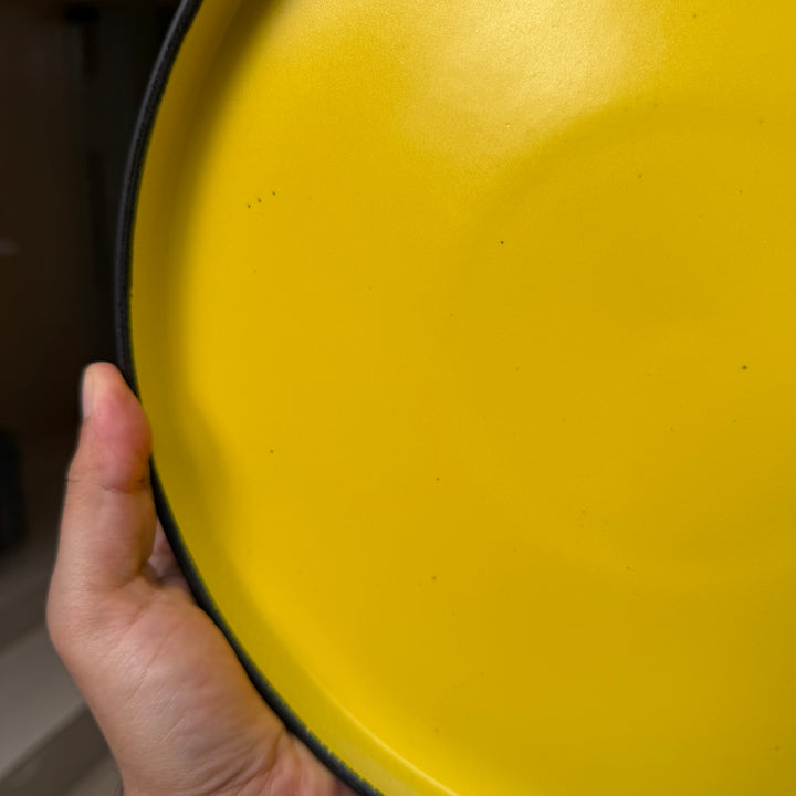 leftover 10 inch classic plate ( Midnight Sun )