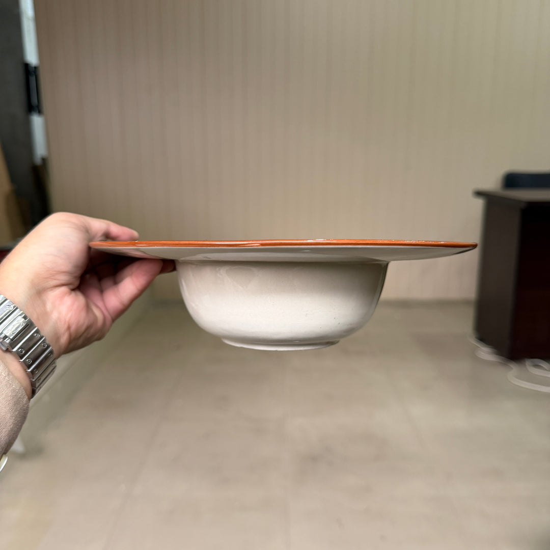 Leftover 10 inch pro pasta plate ( Peacock Green Colorline )