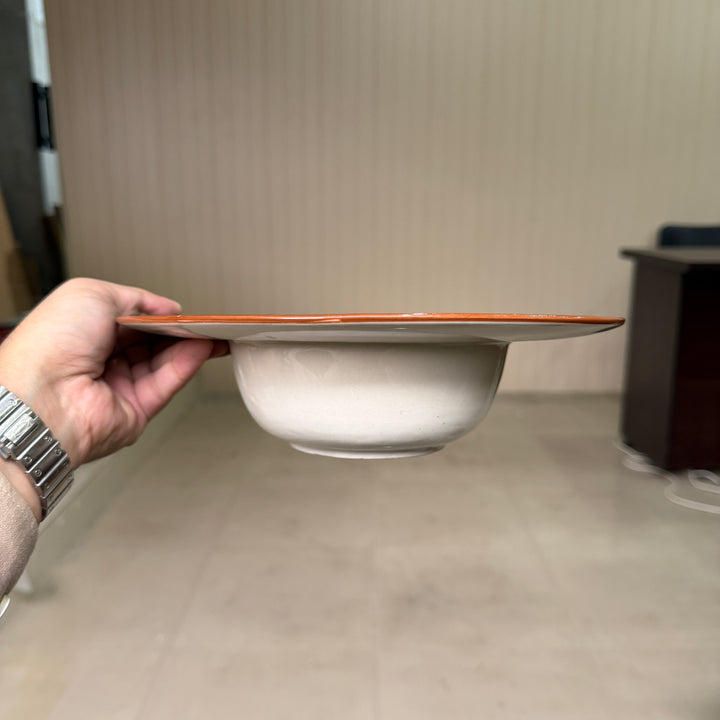 Leftover 10 inch pro pasta plate ( Peacock Green Colorline )
