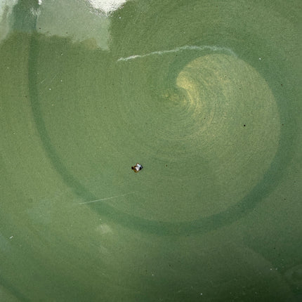 Leftover 10 inch Rimless Plate ( Dark Green Colorline with black rim )
