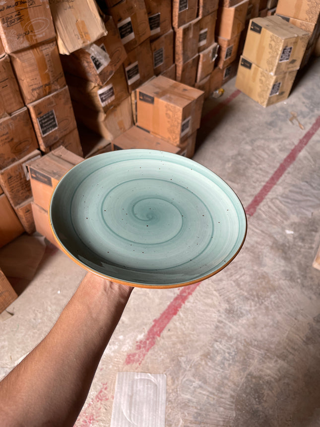 Leftover 10 inch Rimless Plate ( Teal Colorline )