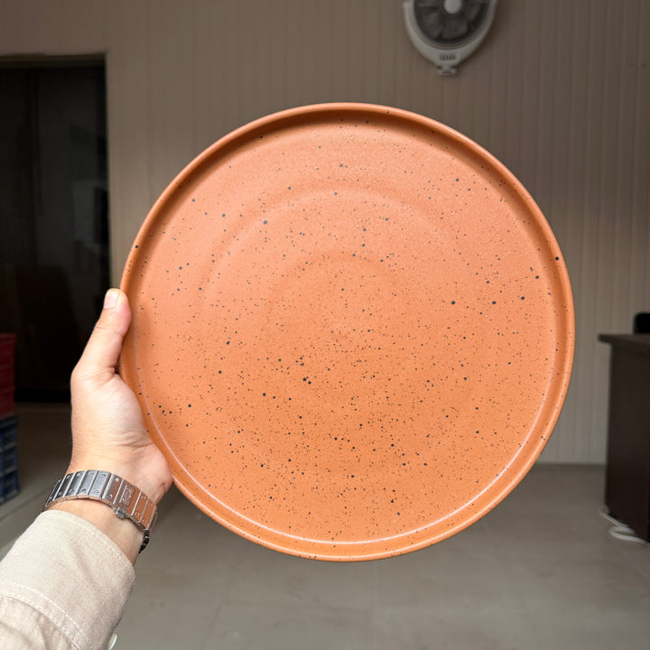 Leftover 12 inch Classic Plate ( Terracotta matte with black specks )