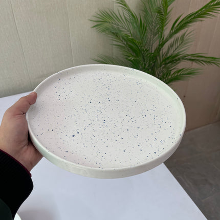 Leftover 10 inch Classic Plate ( White Matte with Blue Specks )