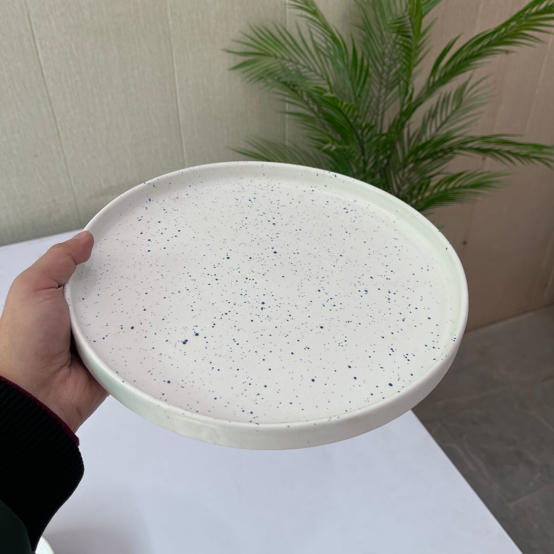 Leftover 10 inch Classic Plate ( Snow Abyss )