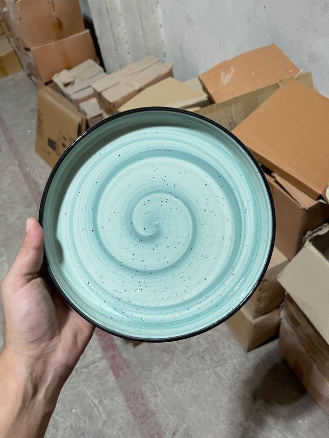 Leftover 8 inch Classic Plate ( Teal Colorline with Black line )