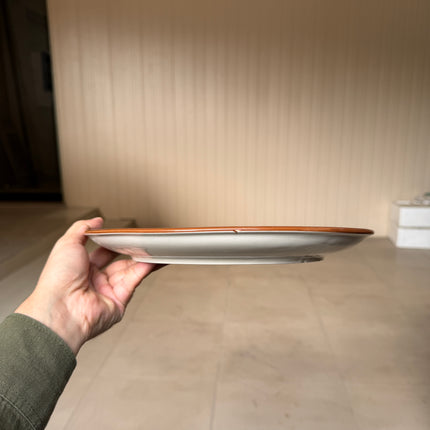 Leftover 11 inch Rimless Plate ( Teal Colorline )