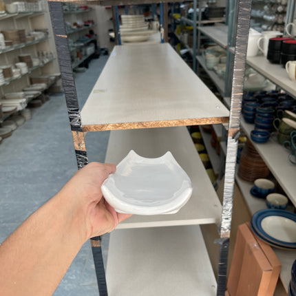 Leftover Curved Sushi Platter ( White Shine )