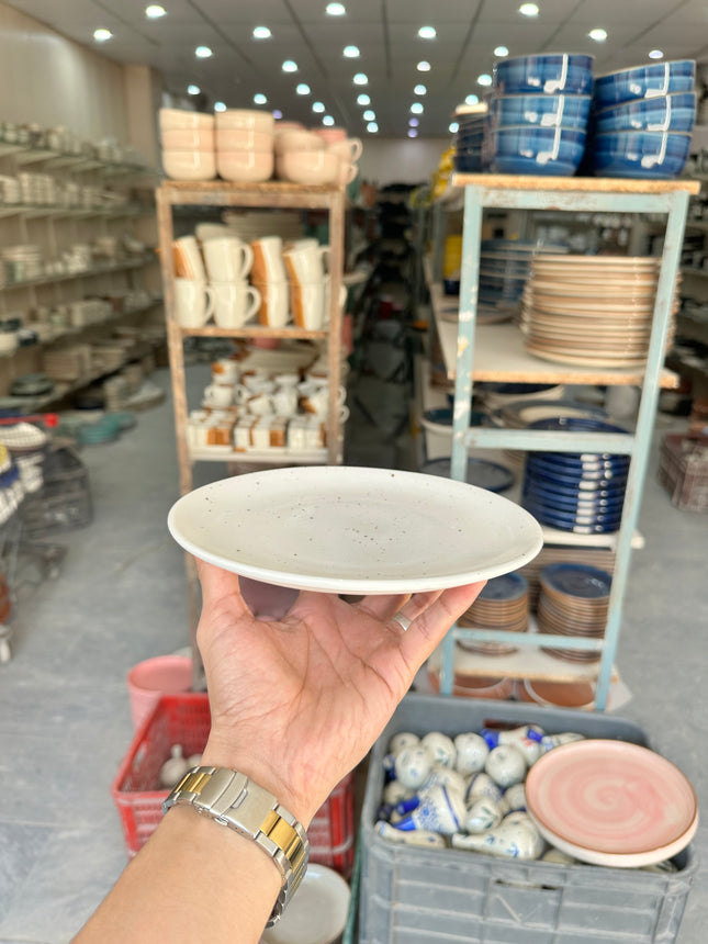 Leftover 8 inch Rimless Plate ( White Matt Brown specks
