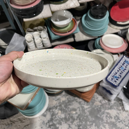 Leftover 8 inch Classic Plate ( Shiny off white with multicolor Specks )
