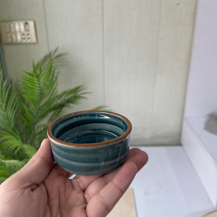 Leftover RK Sauce Ramekin ( Peacock Green Colorline )