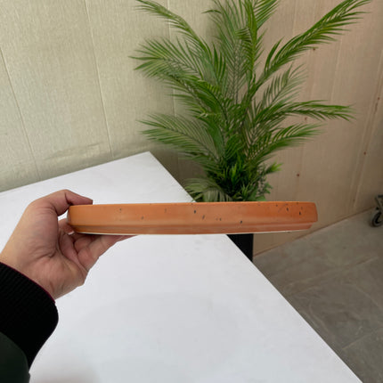 Leftover 10 inch Classic Plate ( Terracotta Matte with Black Specks )