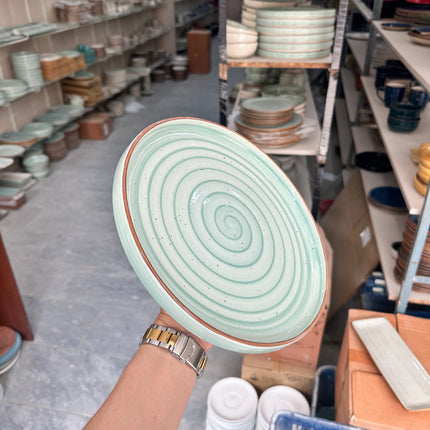 Leftover 10 inch Classic Plate ( Narrow Teal Colorline Brown Line Brown Specks