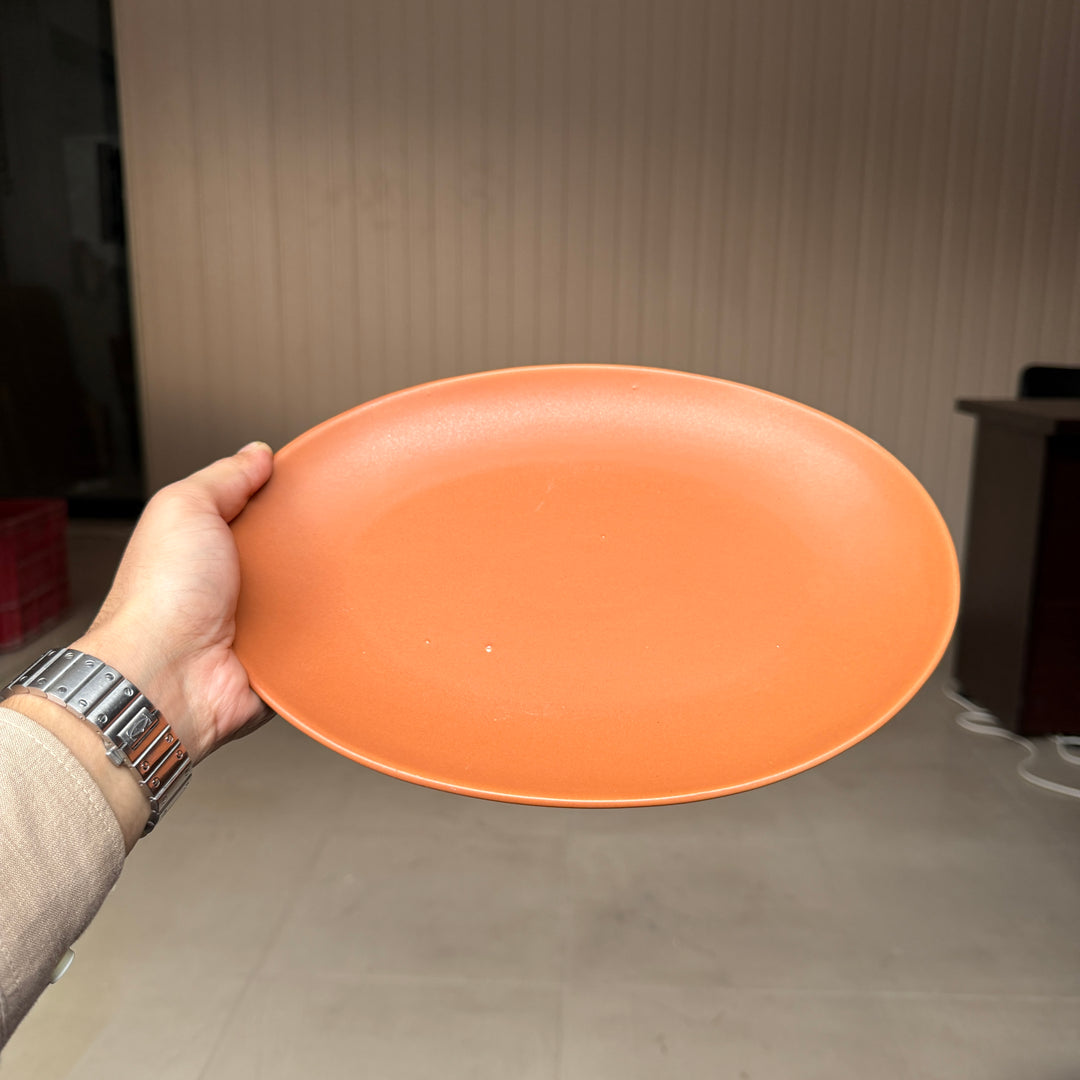 Leftover 11 inch Rimless Rice Dish ( Terracotta Matte )