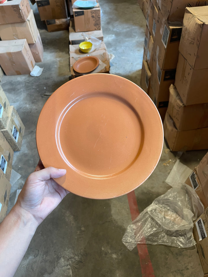 Leftover 10 inch Flat Plate ( Terracotta Matte )