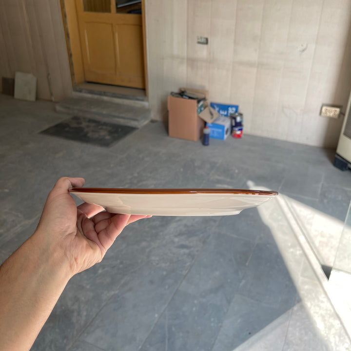 Leftover 10 inch Rimless Plate ( Dark Green Colorline )