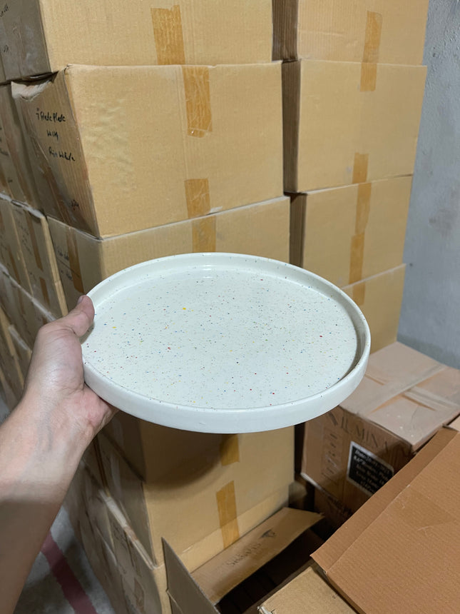 Leftover 10 inch Classic Plate ( Shiny Off White with Multicolor Specks )