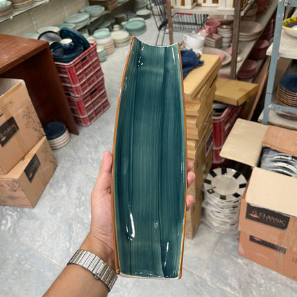 Leftover Curved Sushi Platter ( Peacock Green Colorline )