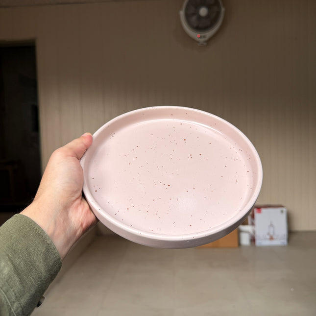 Leftover 8 inch Classic Plate ( Old Rose Matte )