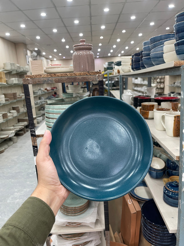 Leftover 8.5 inch Entree Bowl ( Peacock Matt )