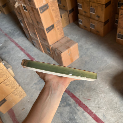 Leftover 10 inch Classic Plate ( Dark Green Colorline )