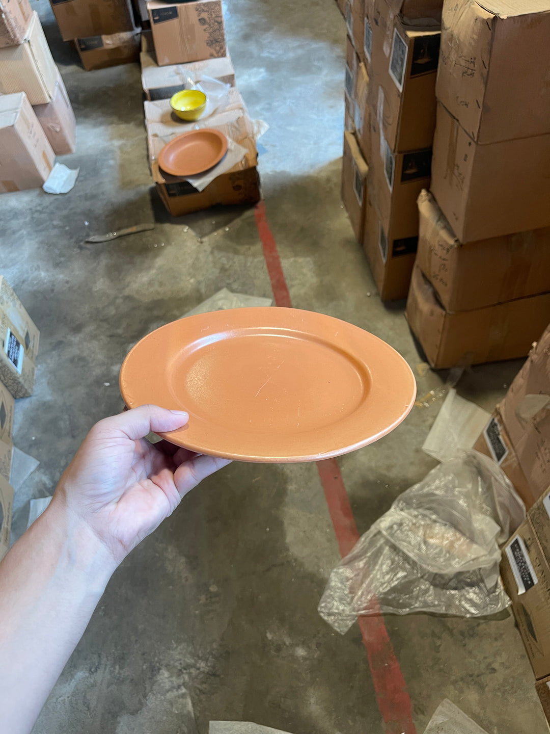 Leftover 10 inch Flat Plate ( Terracotta Matte )
