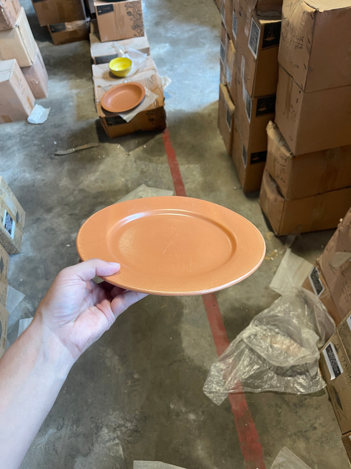 Leftover 10 inch Flat Plate ( Terracotta Matte )