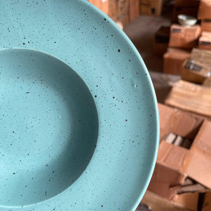 Leftover 9.5 inch Pasta Plate ( Firozi Matte with Black Specks )